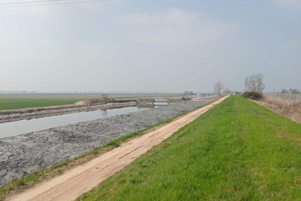 Lavori di espurgo (1)