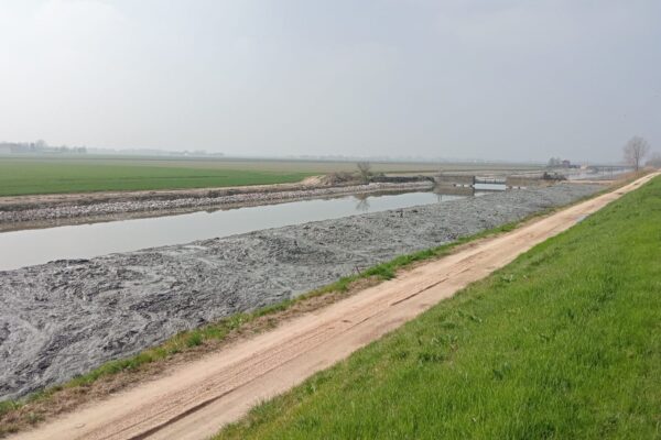 Lavori di espurgo (3)