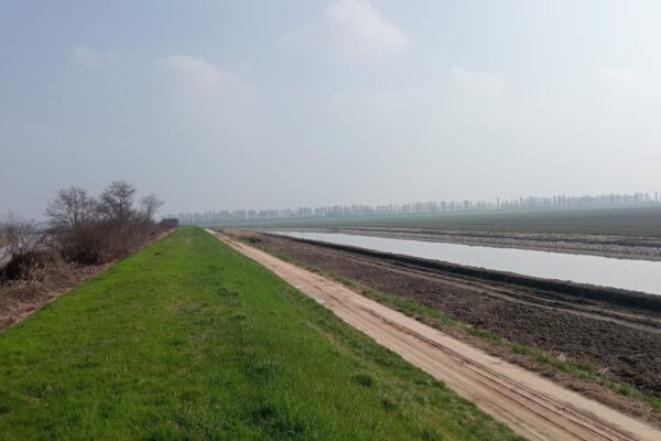 Lavori di espurgo (4)