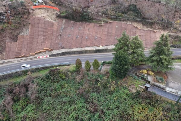 SS 65 della Futa (1)